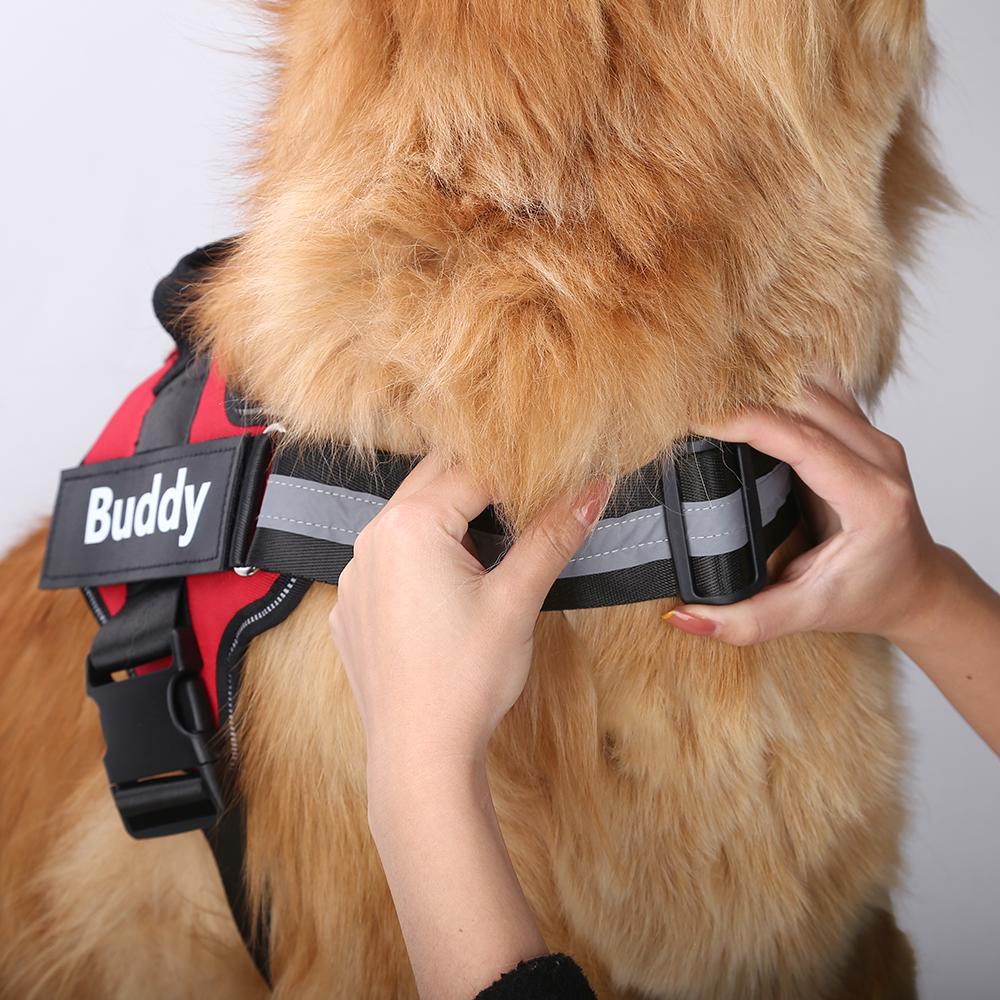 RYAAS STORE™  - CUSTOM FIT NO-PULL DOG HARNESS